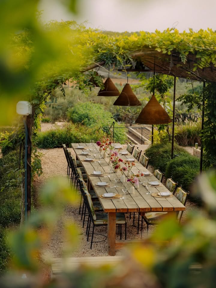A long table set under the pergola in the ANODDA garden